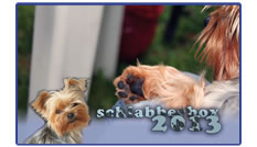 Schlabberbox-Kalender 2013