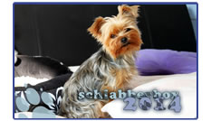 Schlabberbox-Kalender 2014