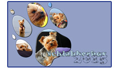 Schlabberbox-Kalender 2015