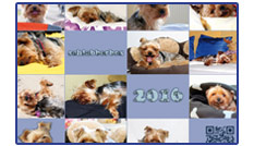 Schlabberbox-Kalender 2016