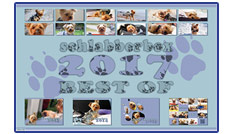 Schlabberbox-Kalender 2017